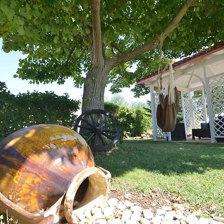 Villa Petra Chiara Locorotondo Dış mekan fotoğraf