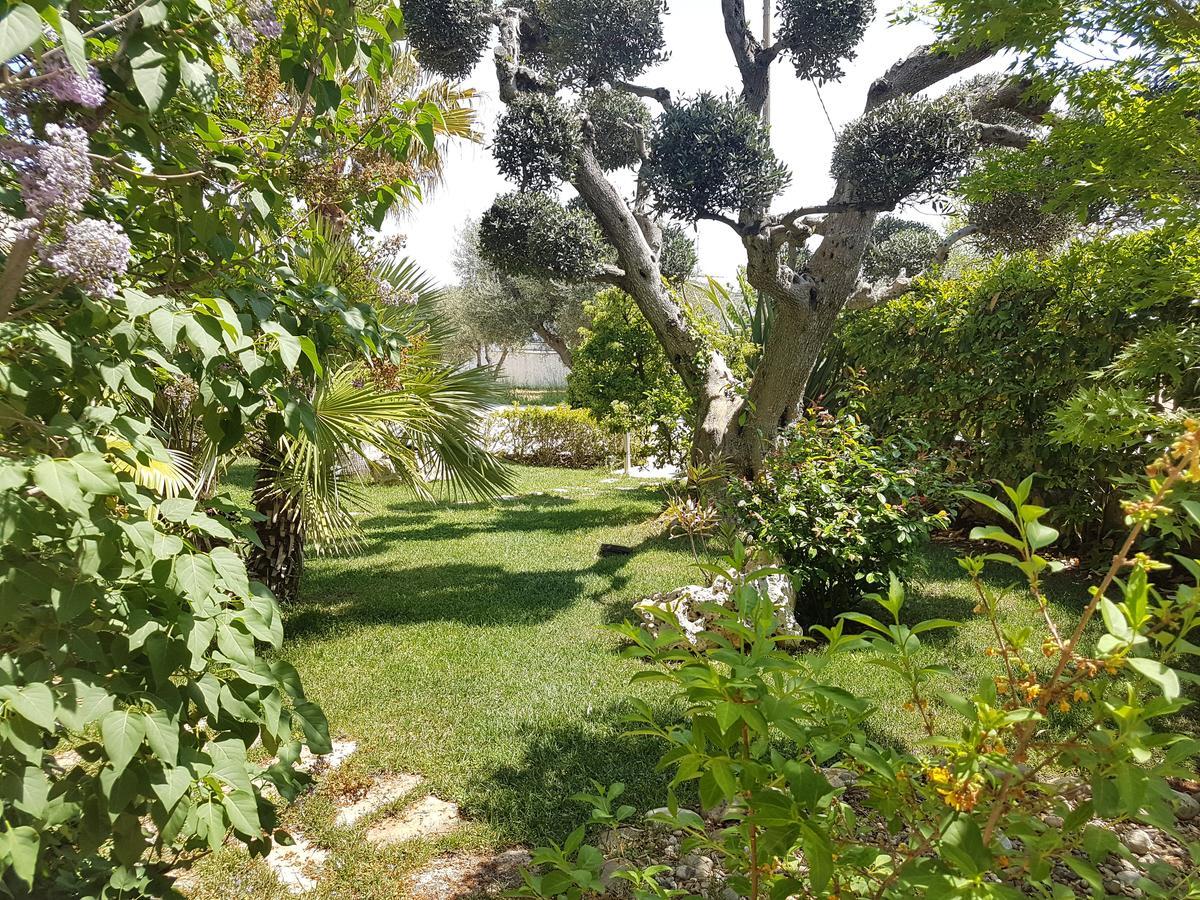 Villa Petra Chiara Locorotondo Dış mekan fotoğraf