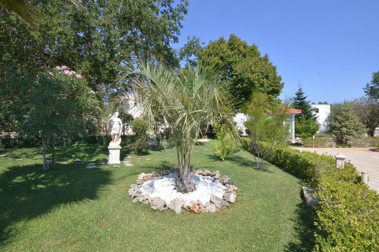 Villa Petra Chiara Locorotondo Dış mekan fotoğraf